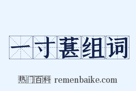 一寸葚组词是什么意思的图片